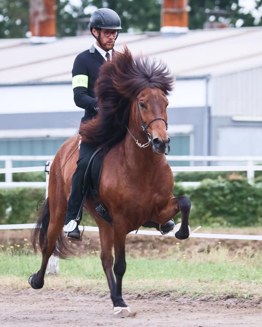Ein Reiter in Turnierkleidung reitet ein braunes Islandpferd mit wehendem Langhaar auf einer Ovalbahn.