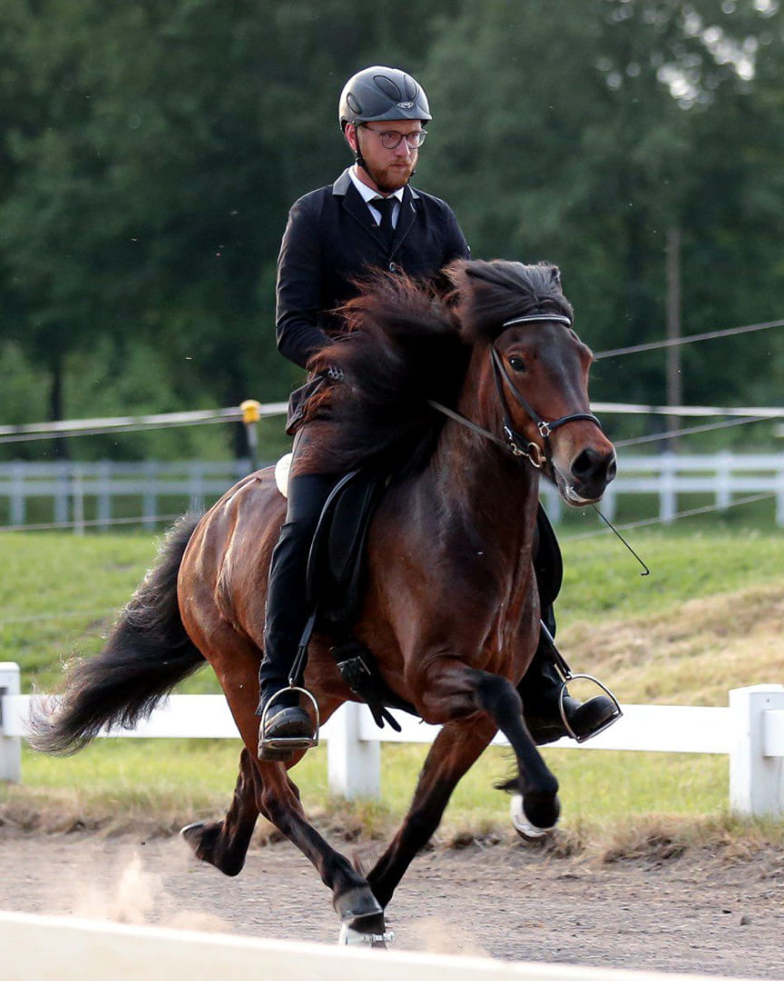 Ein Reiter in schwarzer Turnierkleidung reitet ein braunes Islandpferd im Pass auf einer Bahn, umgeben von Wiese und weißen Zäunen.